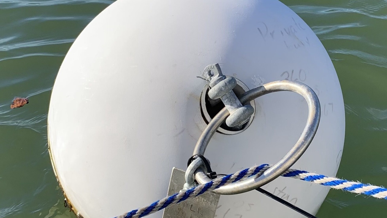 Photo of Others in Lummi Island