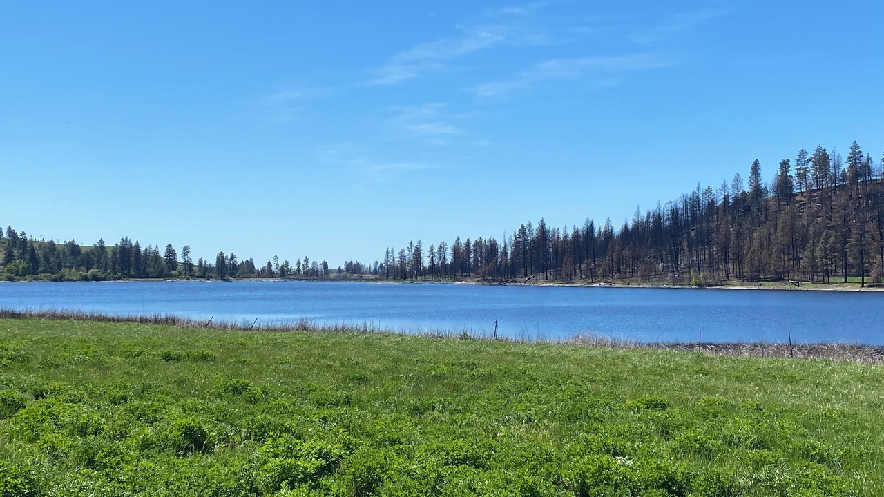 Photo of Outdoor in Medical Lake