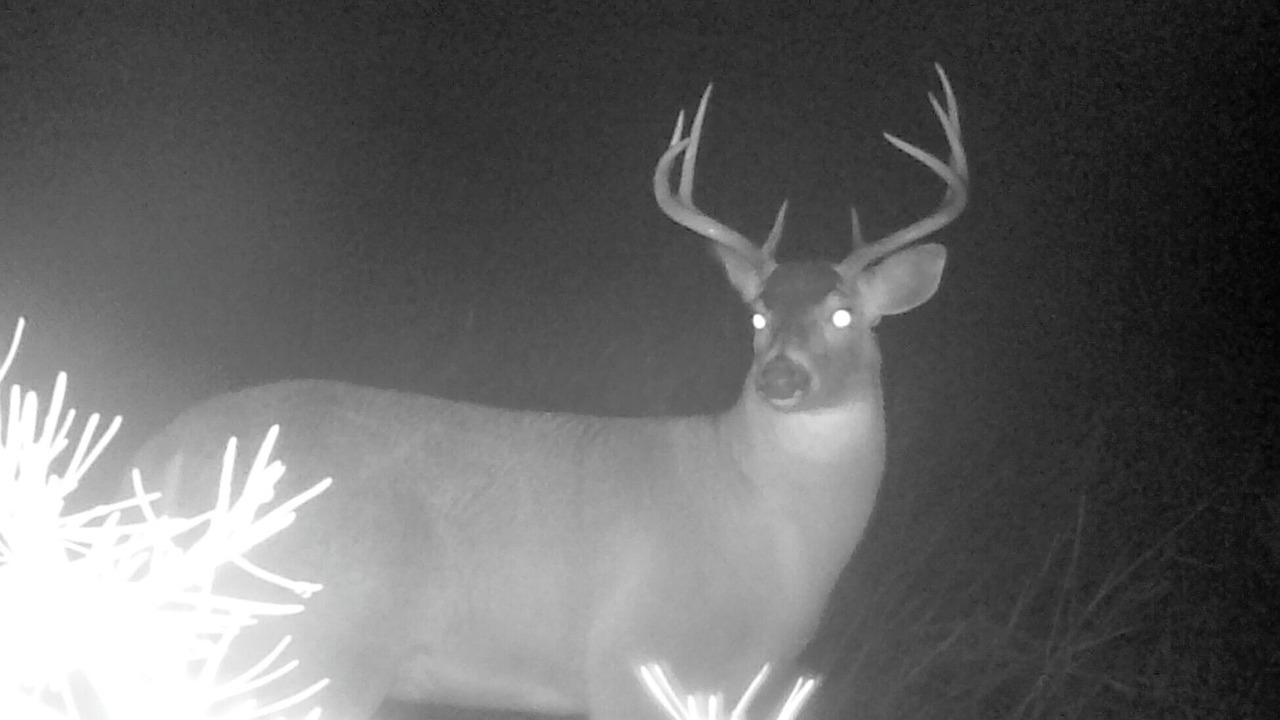 Photo of Others in Colville