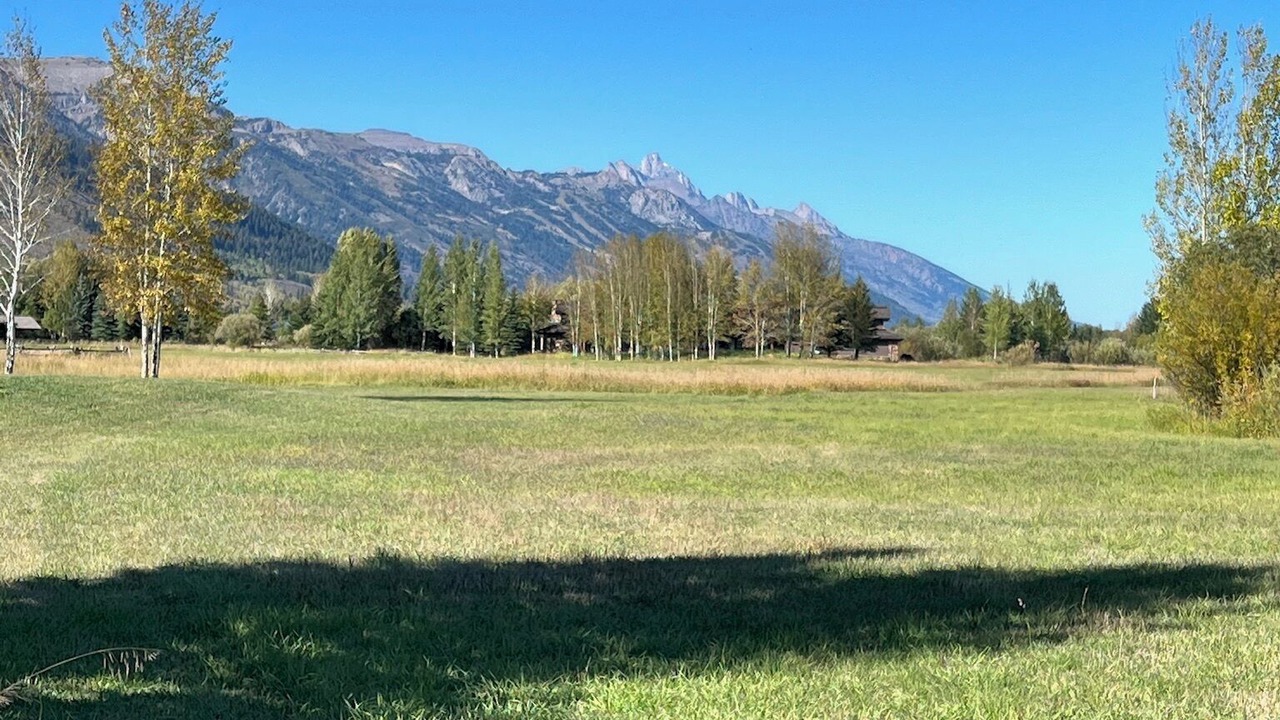 Photo of Outdoor in Wilson