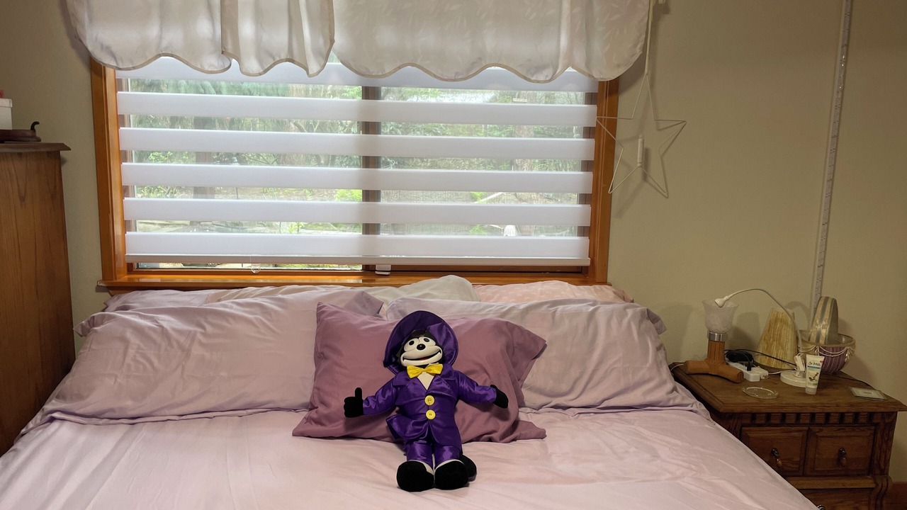 Photo of Bedroom in South Hill
