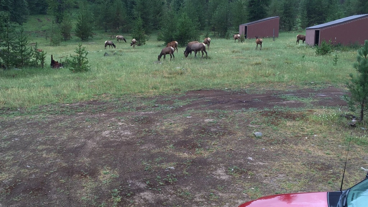Photo of Others in St. Regis