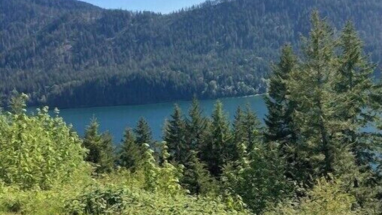 Photo of Outdoor in Eatonville