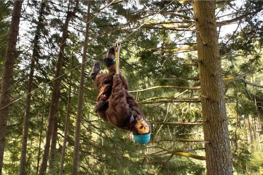 Photo of Others in Stevenson