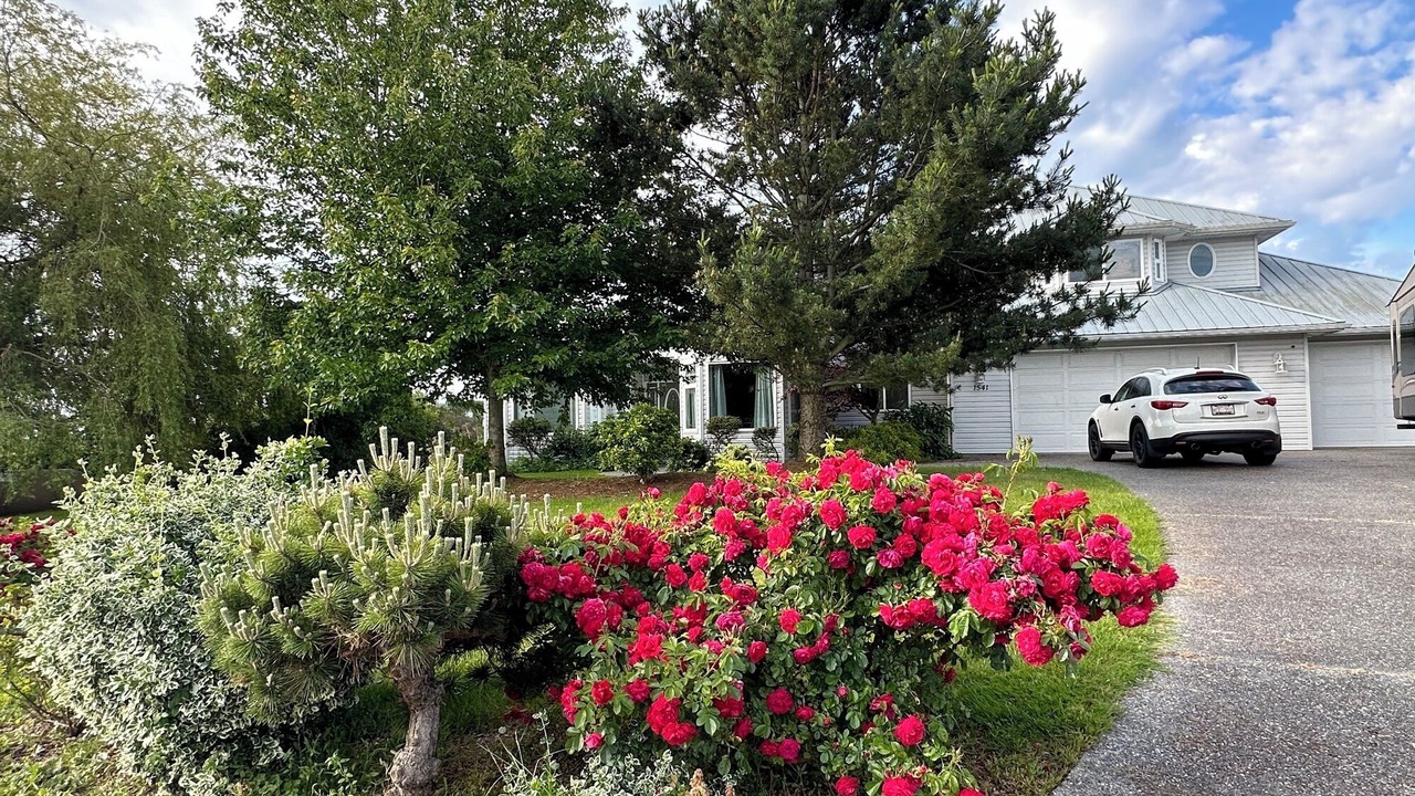 Photo of Others in Point Roberts