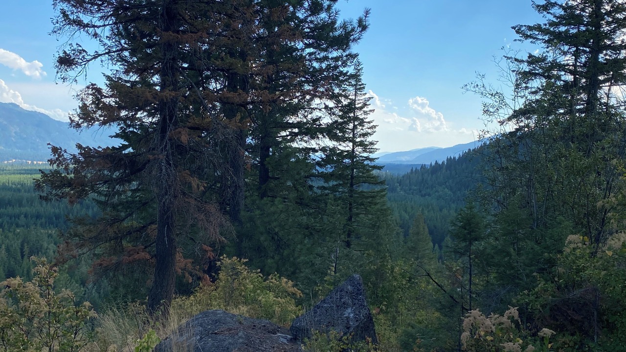 Photo of Outdoor in Boundary County