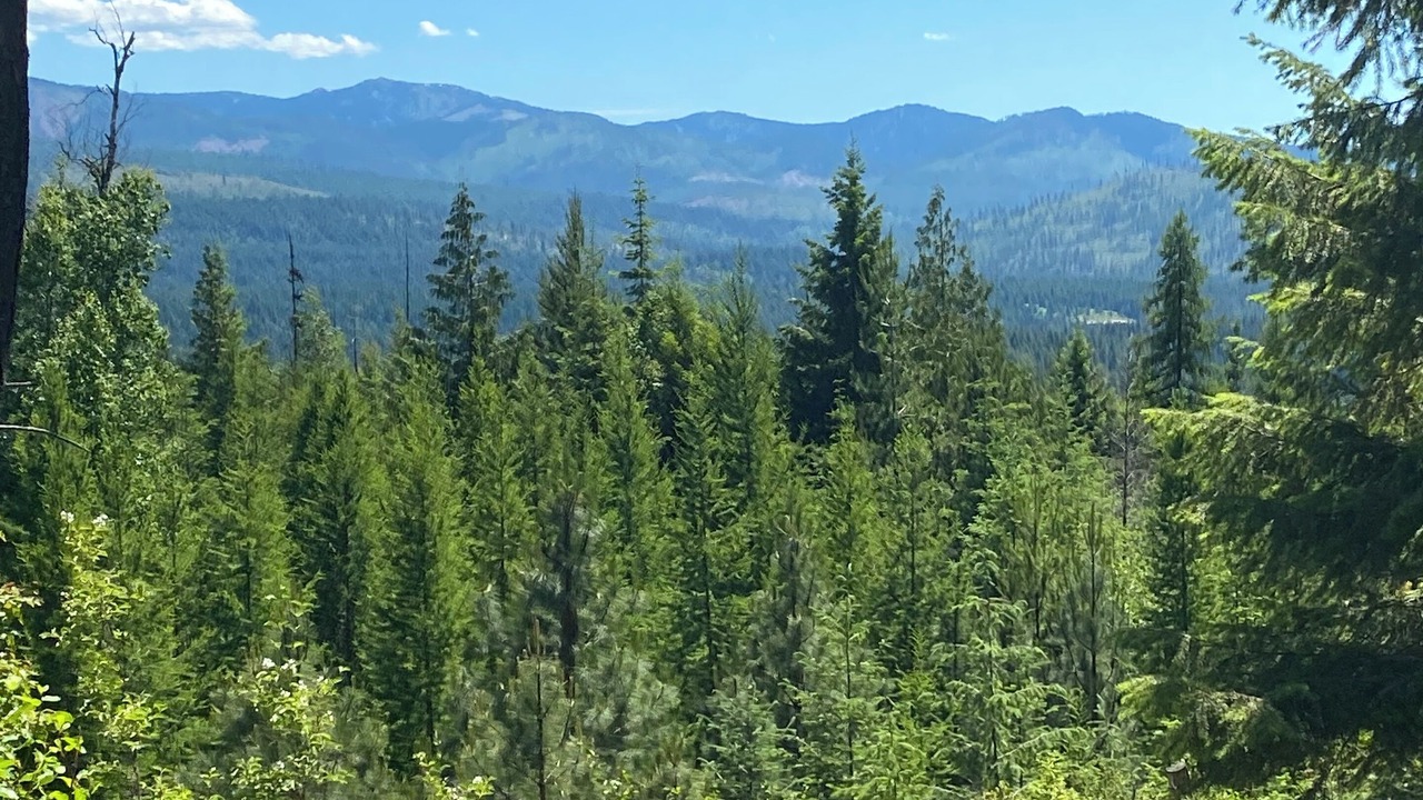 Photo of Outdoor in Boundary County