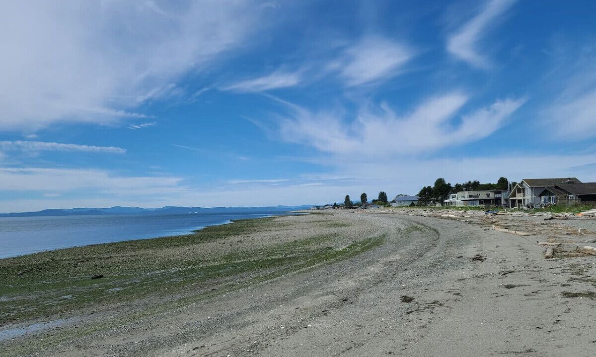 Photo of Others in Point Roberts
