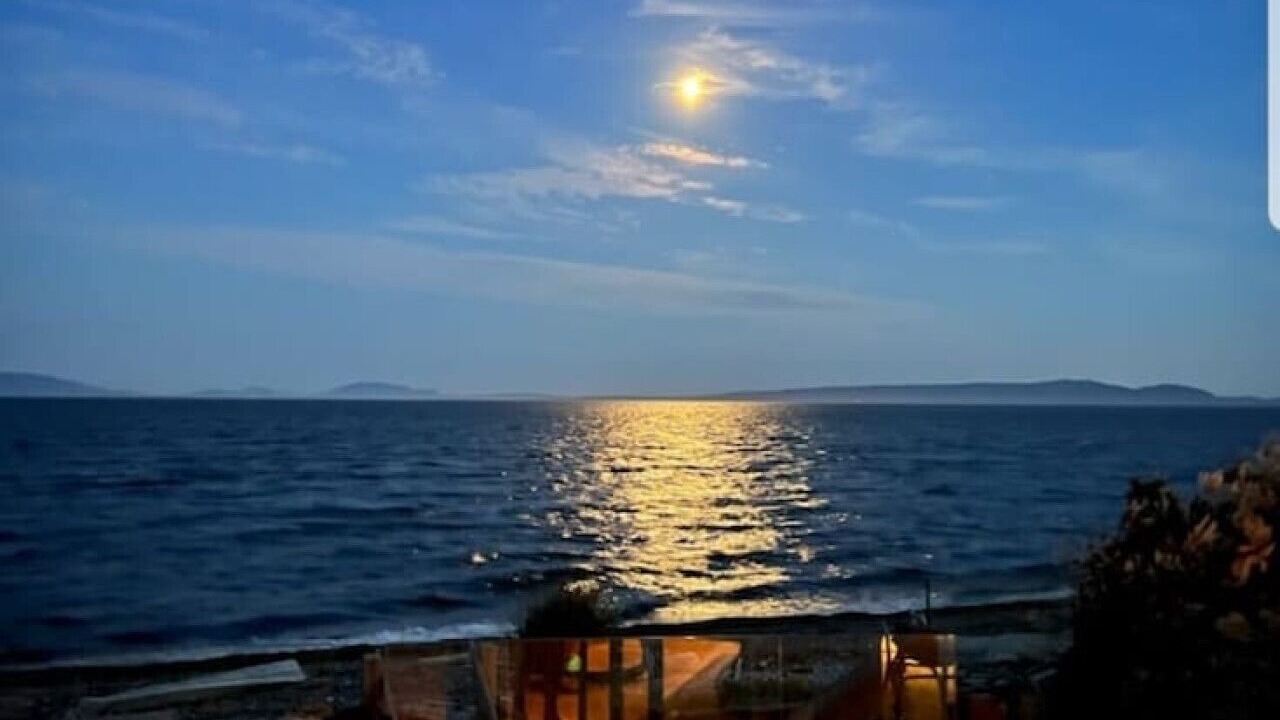 Photo of Others in Point Roberts