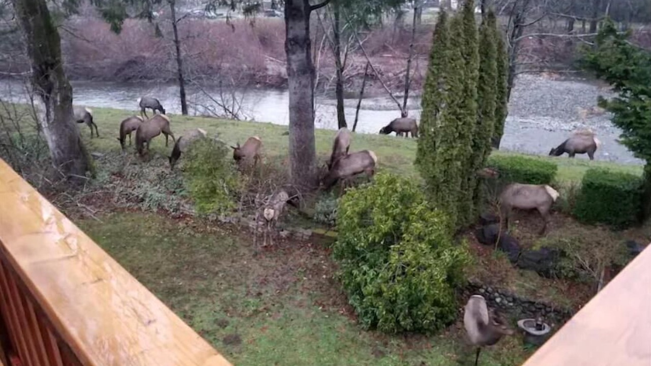 Photo of Outdoor in Tanner