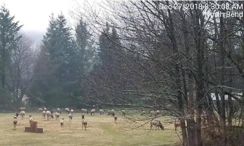 Photo of Outdoor in Tanner