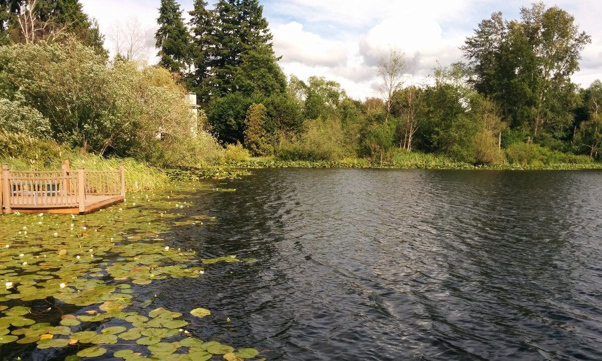 Photo of Outdoor in North Rose Hill