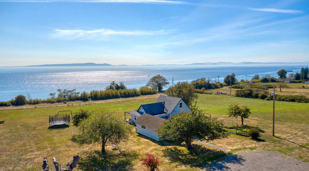 Photo of Others in Point Roberts
