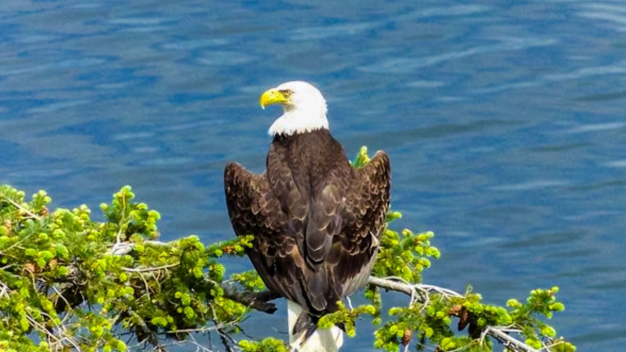 Photo of Outdoor in Diamond Point