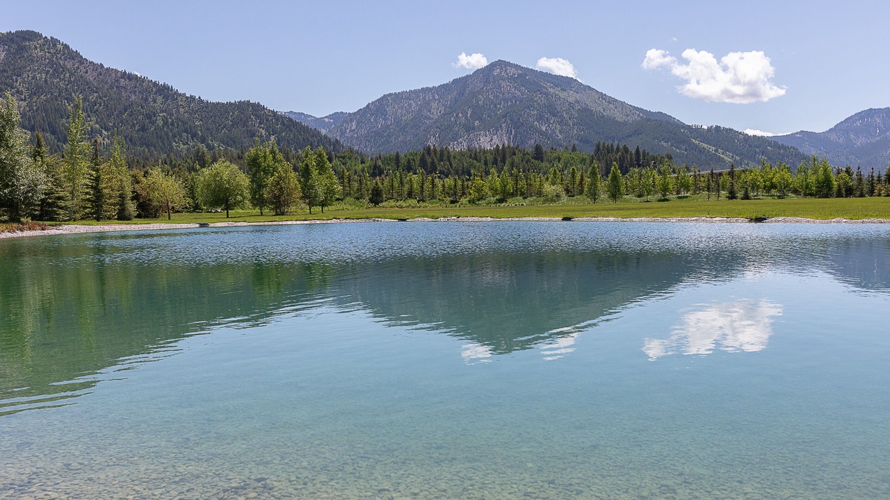 Photo of Others in Alpine Northwest