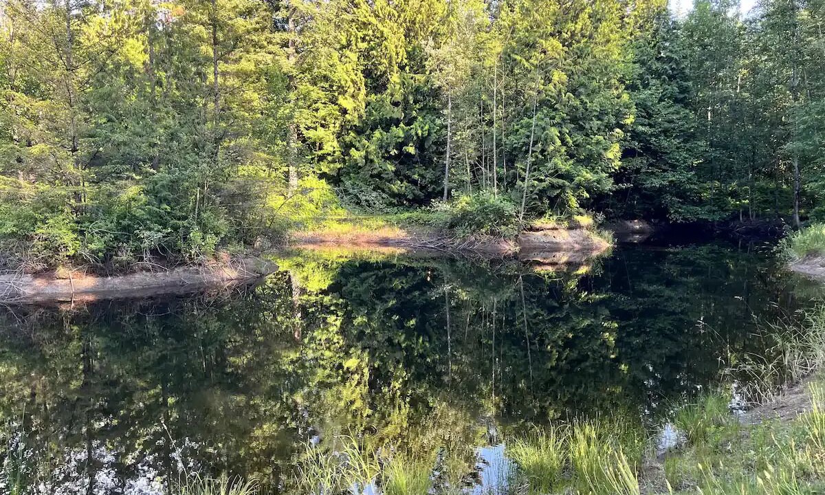 Photo of Outdoor in Ferndale