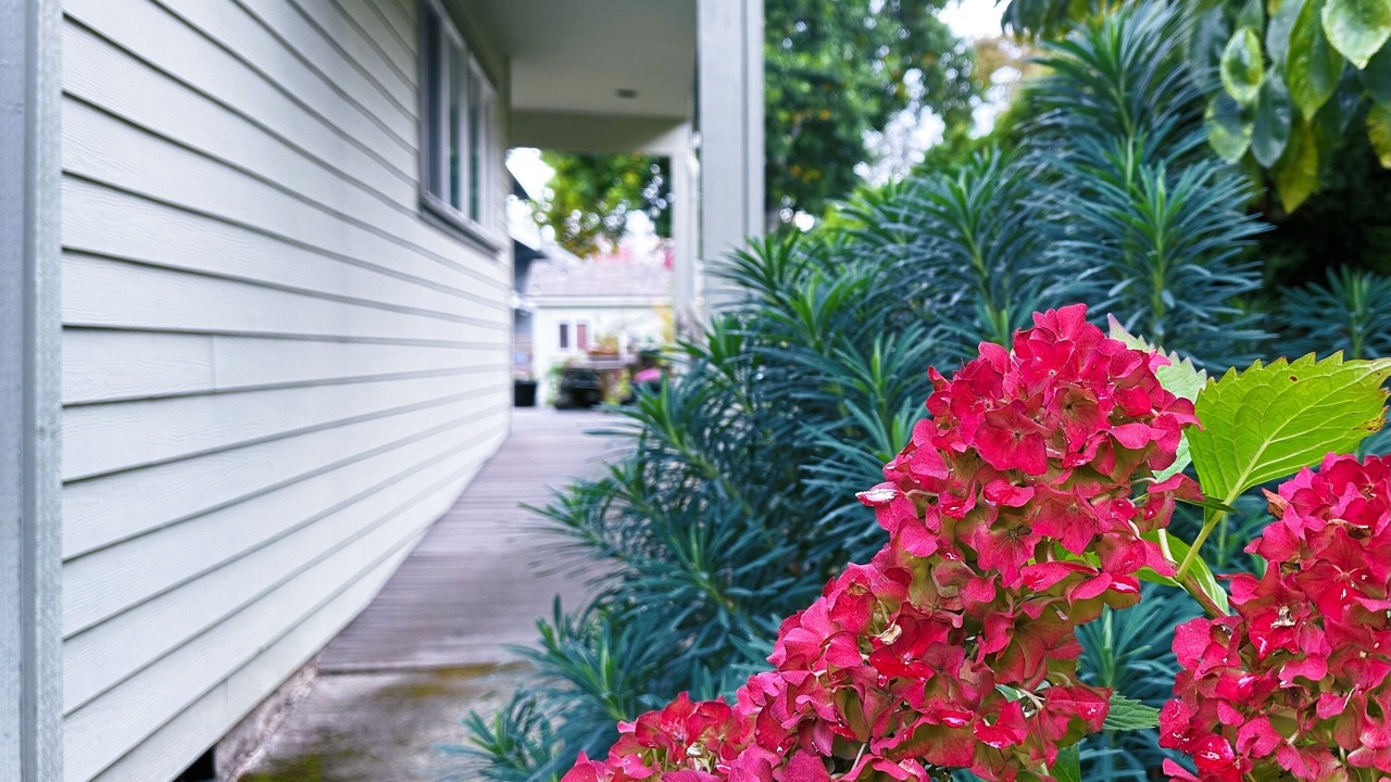 Photo of Outdoor in Belmont