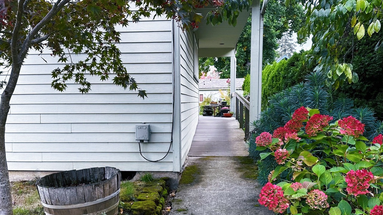 Photo of Outdoor in Belmont