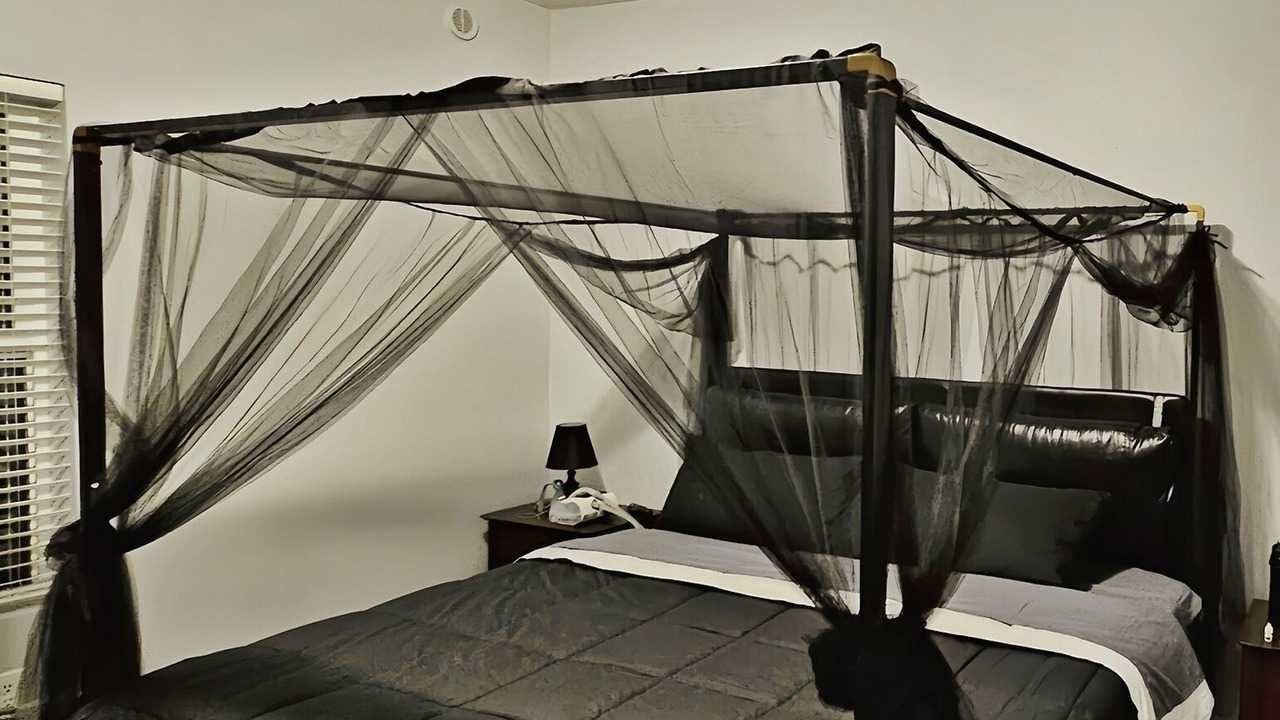 Photo of Bedroom in Spanaway