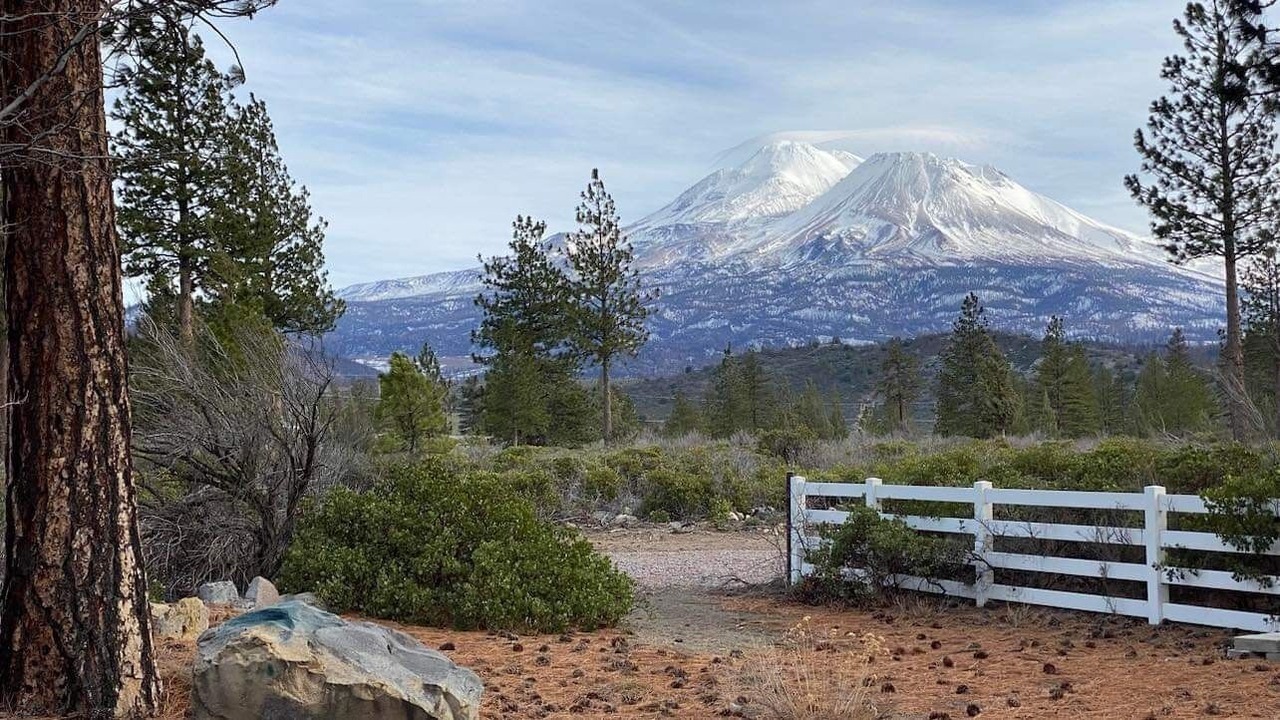 Photo of Outdoor in Weed