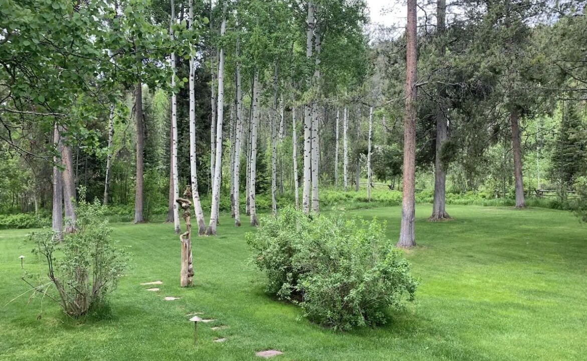 Photo of Outdoor in Indian Paintbrush