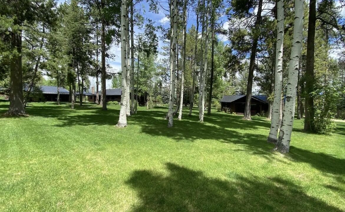 Photo of Outdoor in Indian Paintbrush