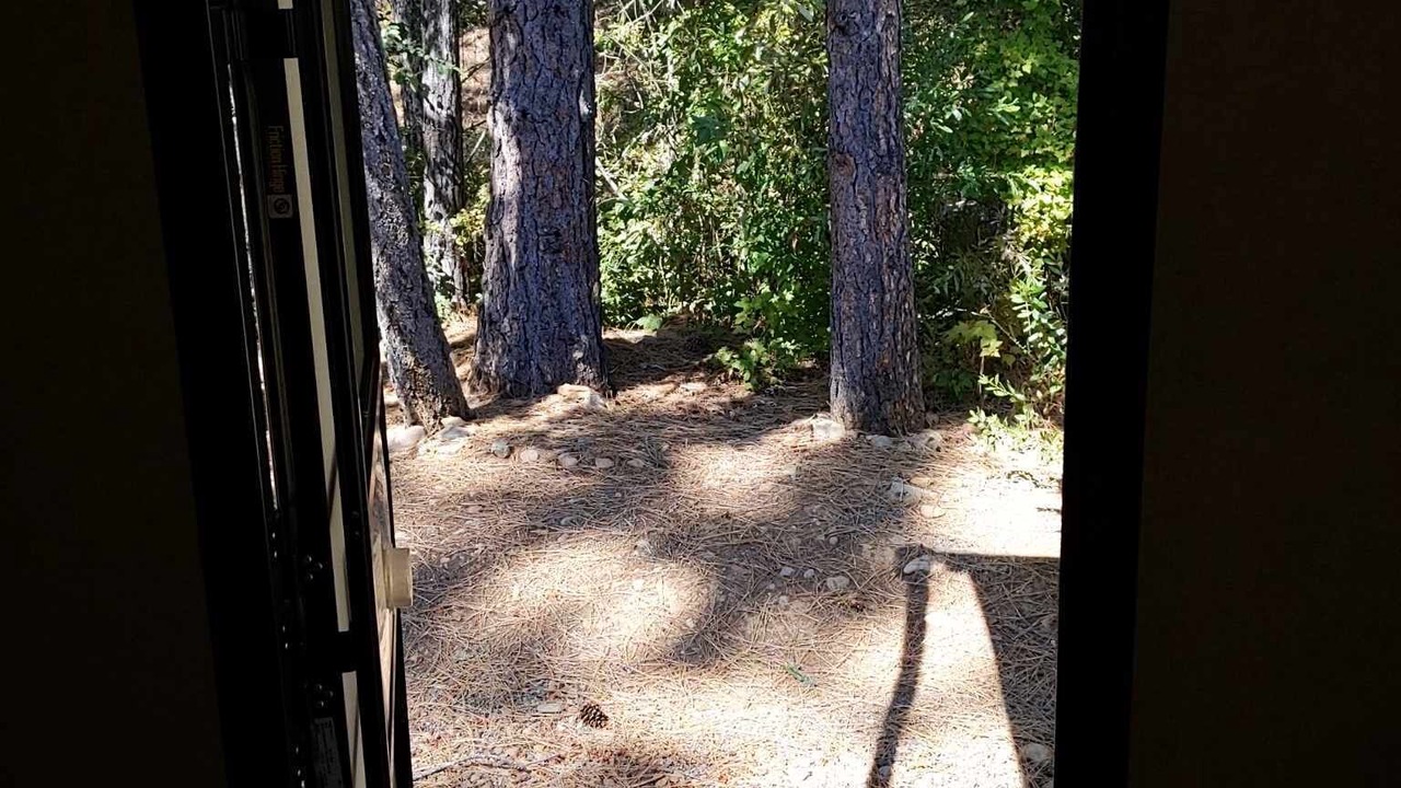 Photo of Others in Cave Junction
