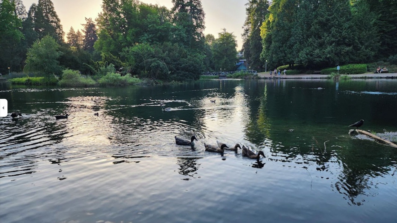 Photo of Others in Laurelhurst