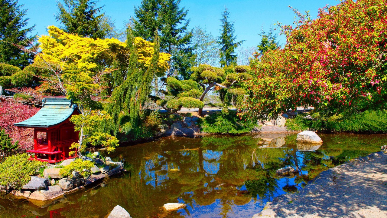 Photo of Outdoor in Northeast Tacoma