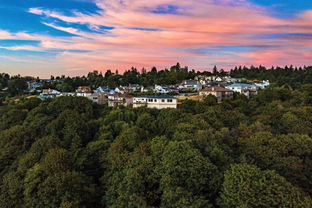 Photo of Outdoor in Northeast Tacoma