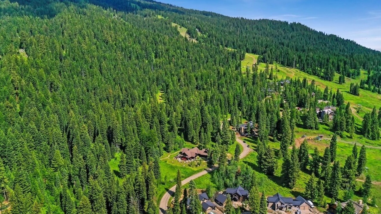 Photo of Others in Tamarack