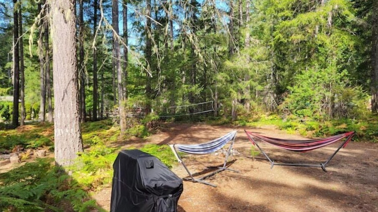 Photo of Outdoor in Hoodsport