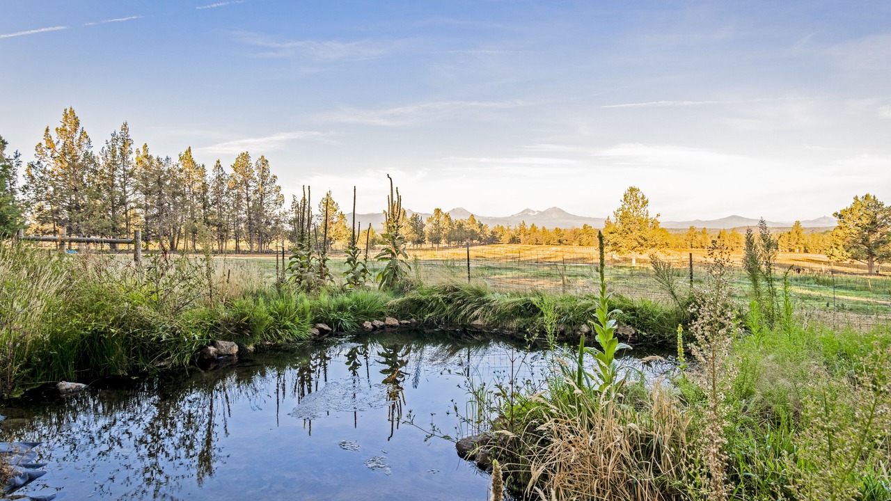 Photo of Others in Bend