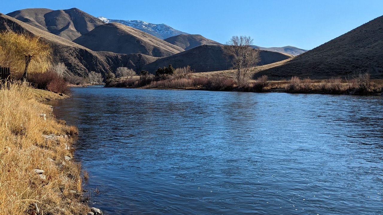 Photo of Others in Salmon