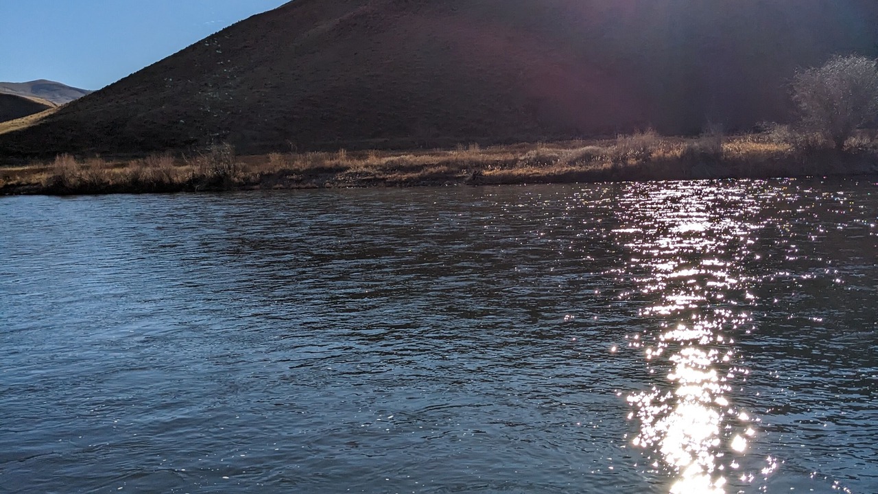Photo of Others in Salmon