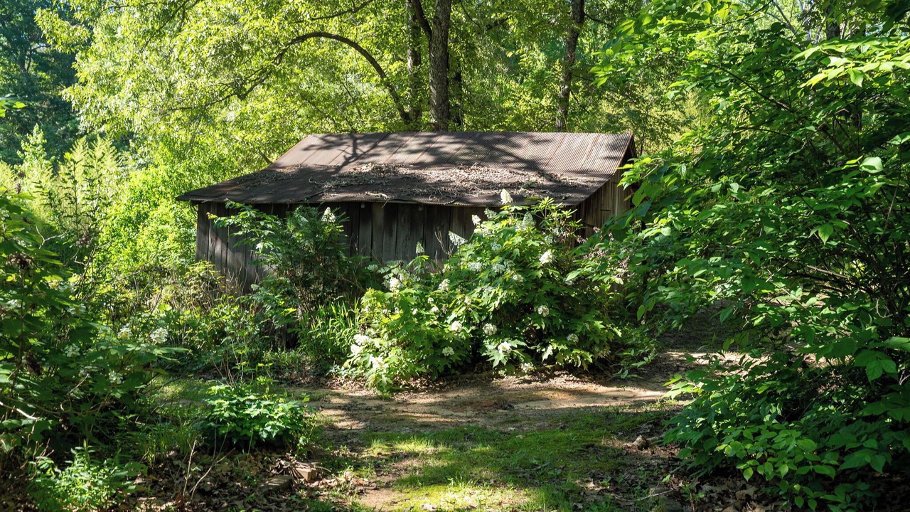 Photo of Outdoor in Corinth