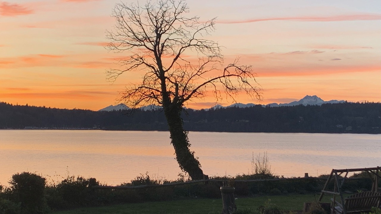 Photo of Outdoor in Rollingbay