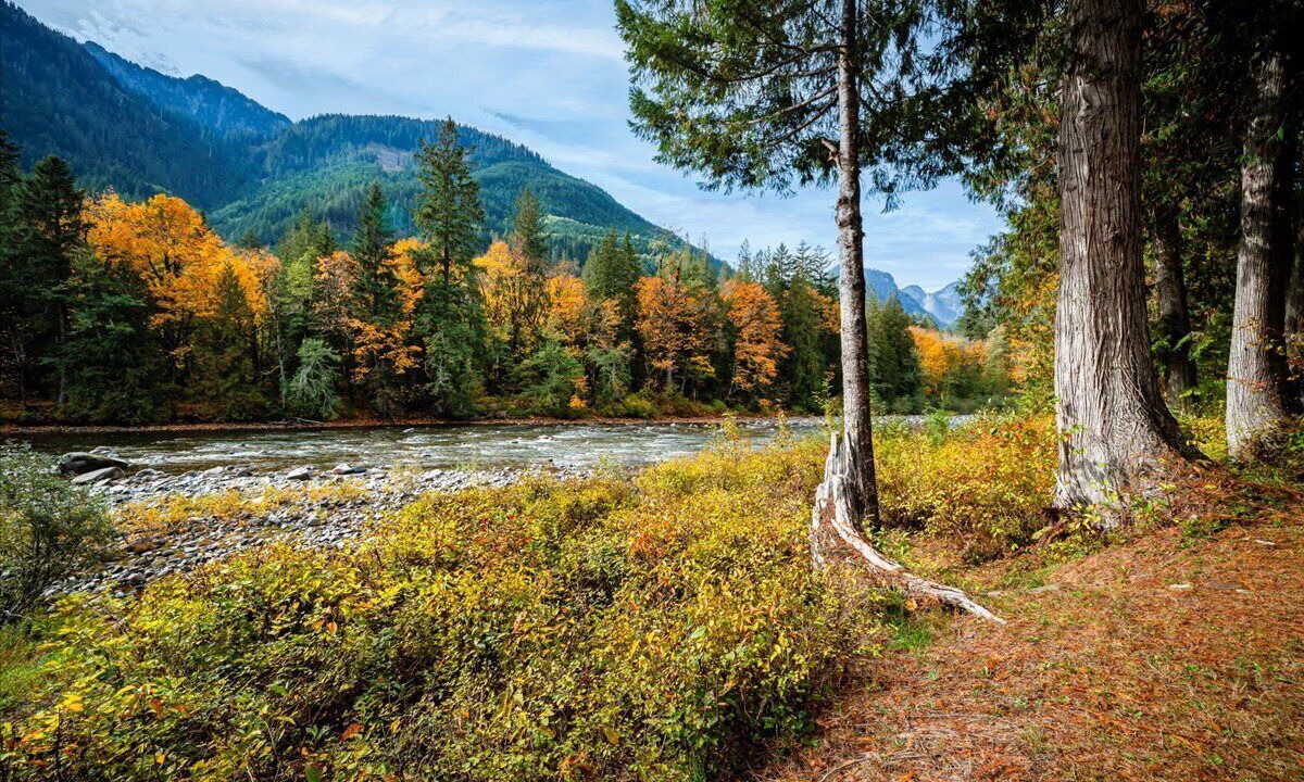 Photo of Outdoor in Baring