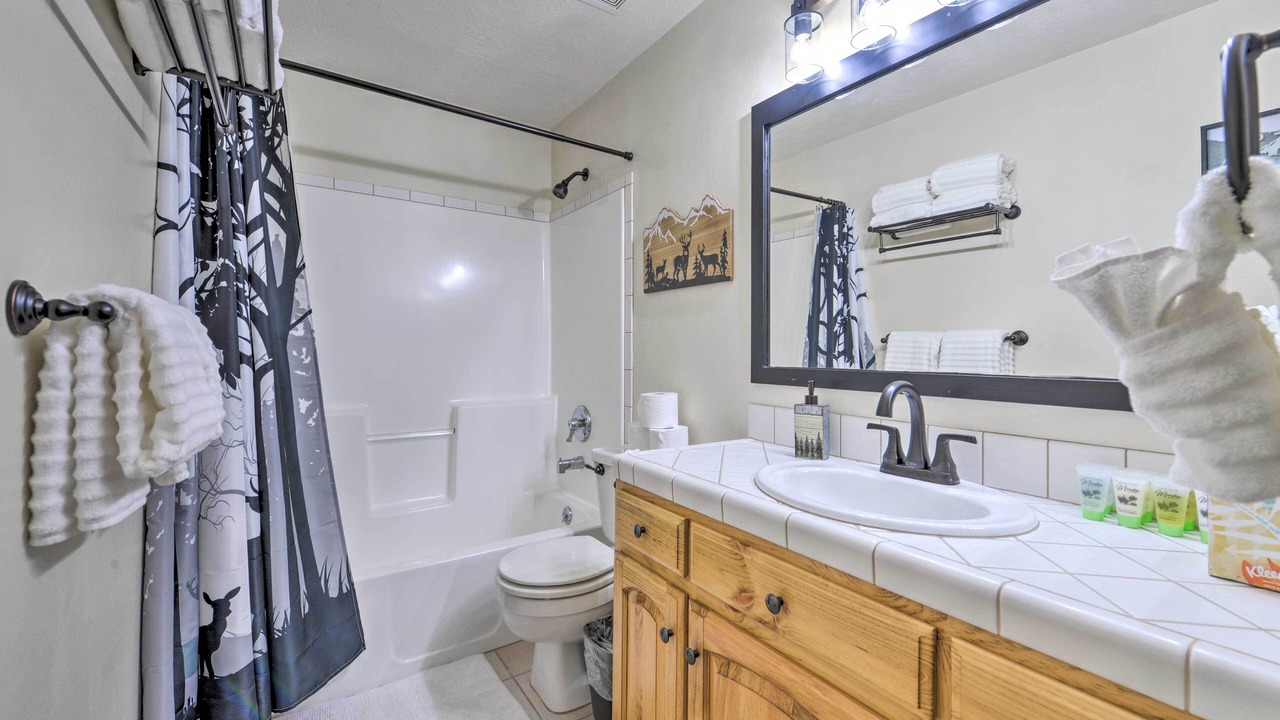 Photo of Bathroom in Island Park