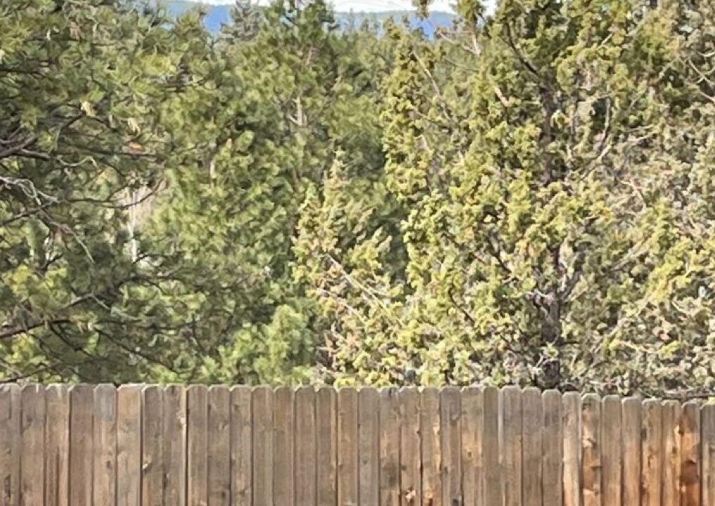 Photo of Outdoor in Bend