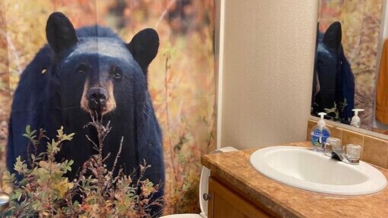 Photo of Bathroom in Pray