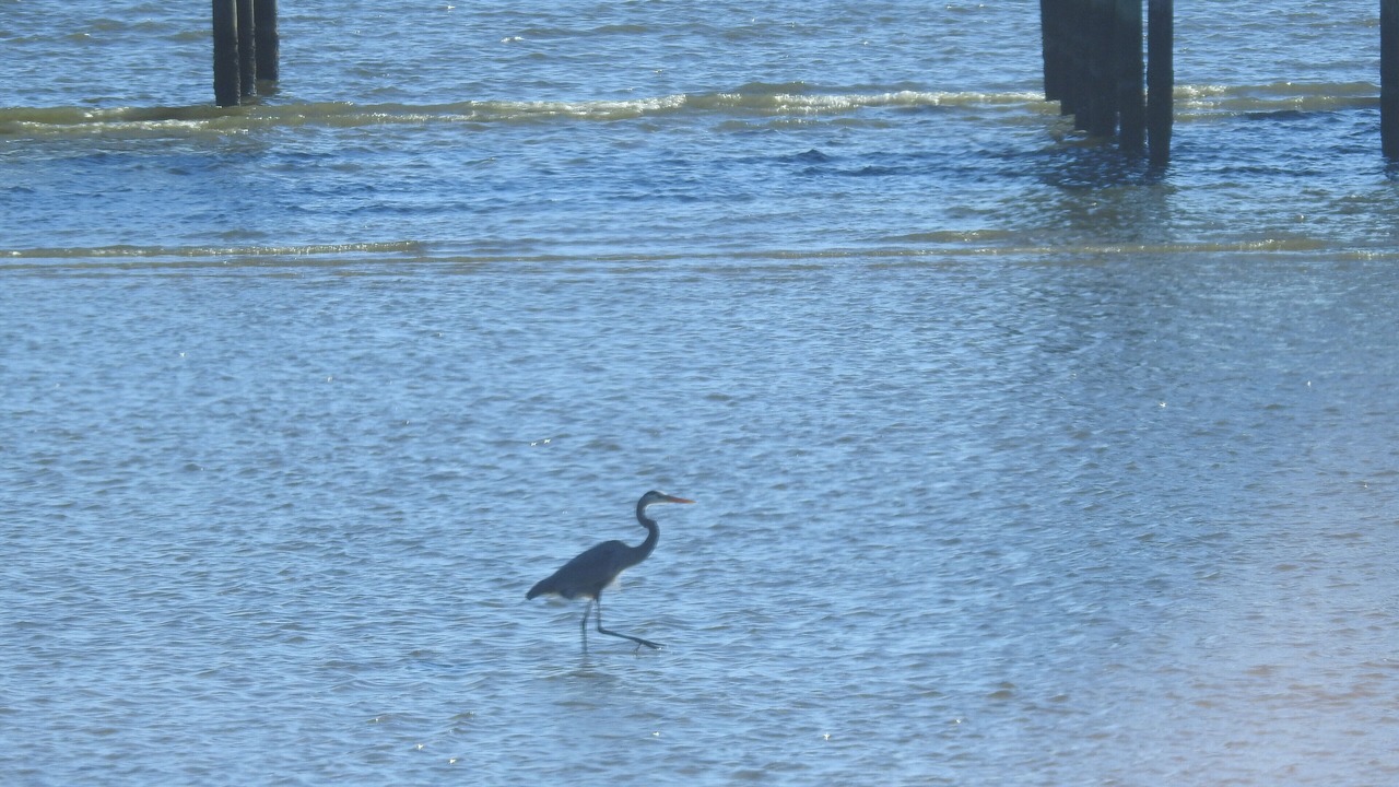 Photo of Others in Theodore