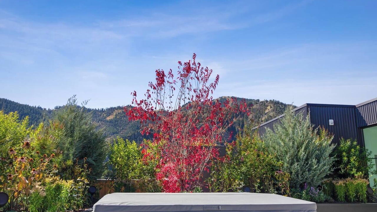 Photo of Others in Ketchum