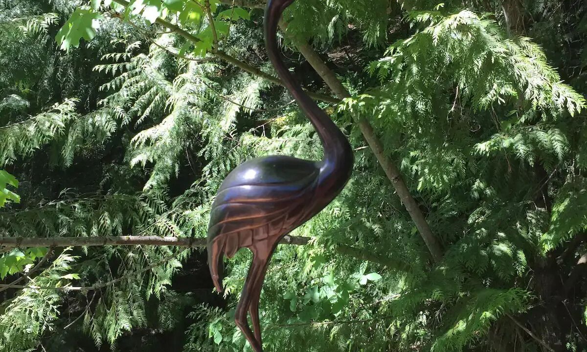 Photo of Outdoor in Cedar Hills