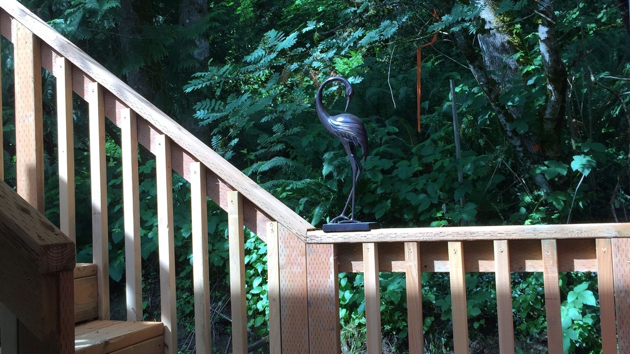 Photo of Outdoor in Cedar Hills