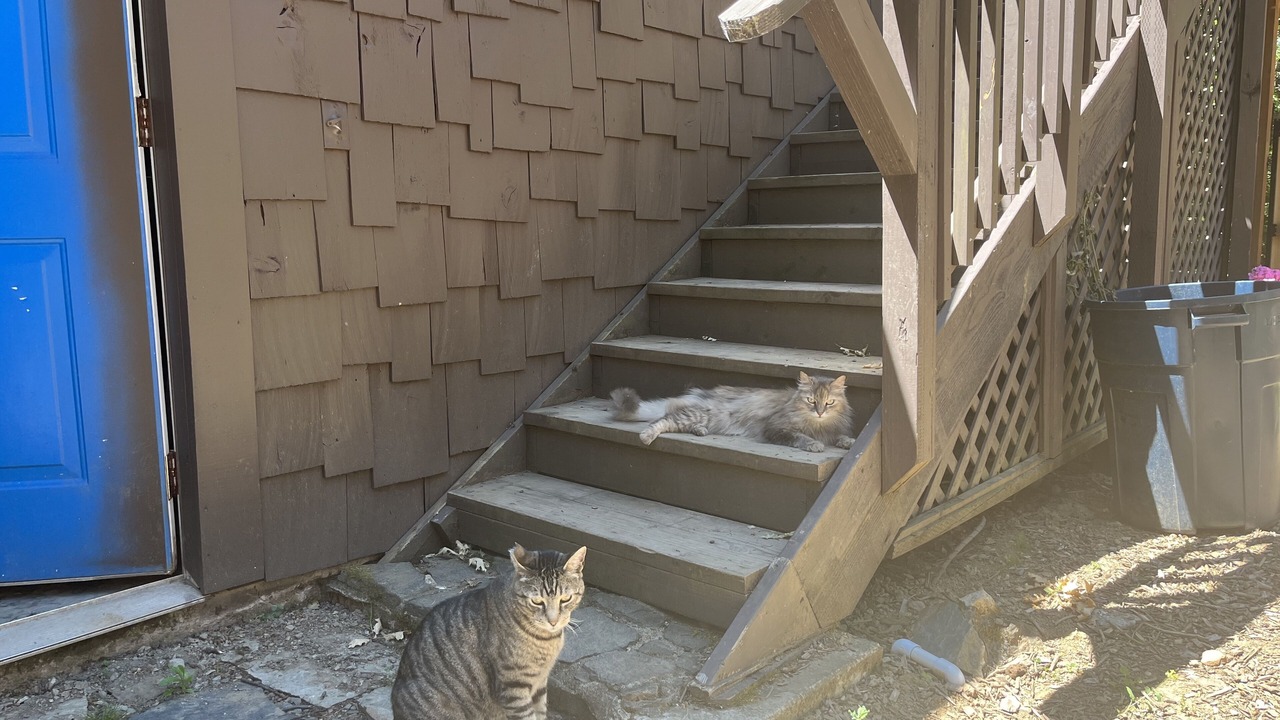 Photo of Others in Grants Pass