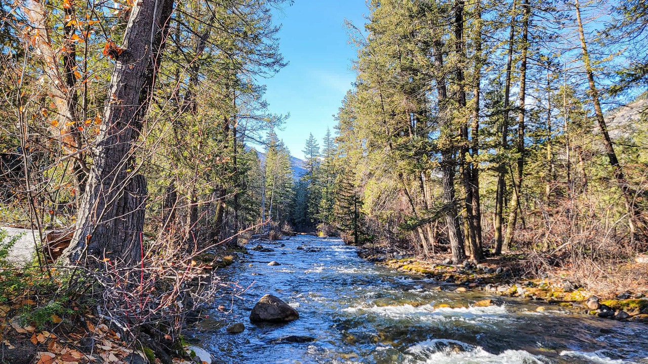 Photo of Others in Mazama