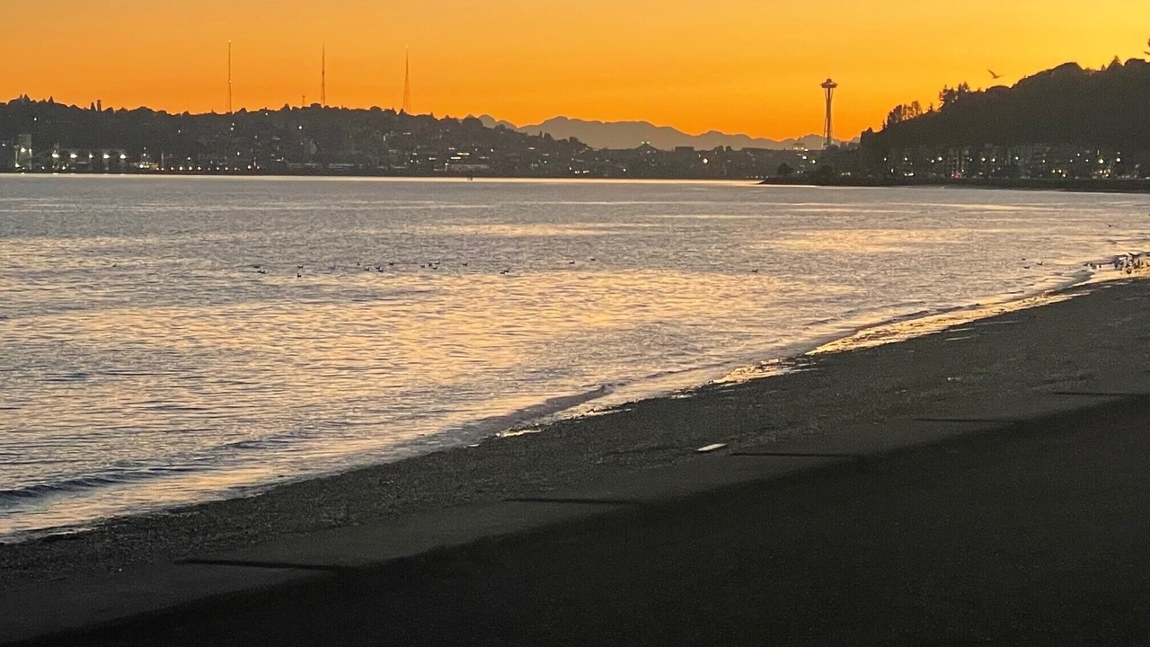 Photo of Others in West Seattle