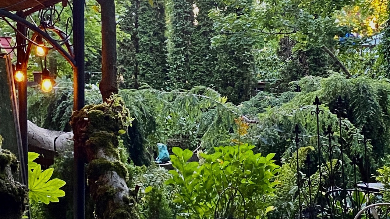 Photo of Outdoor in Ardenwald