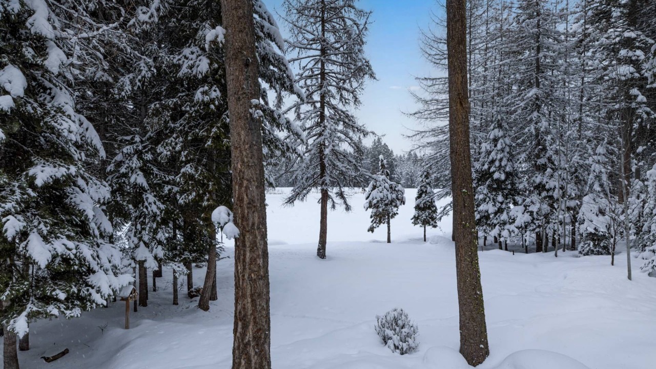 Photo of Others in McCall